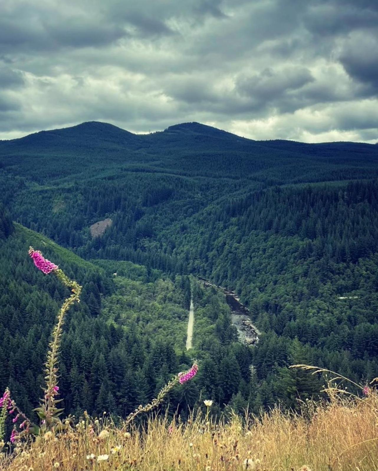 Gorgeous Gateway To The Columbia River Gorge Washougal Exterior foto